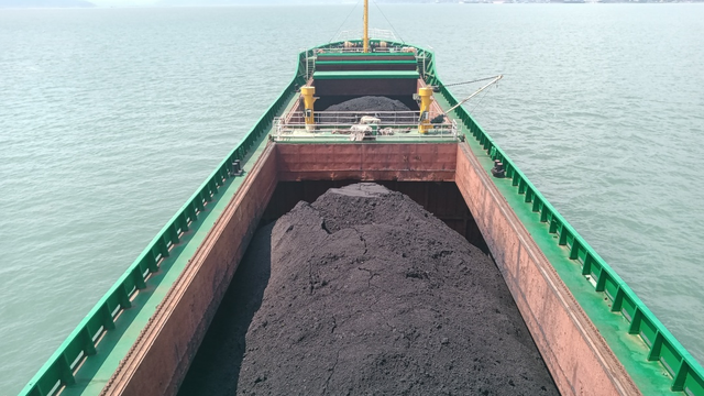 海警72小時內(nèi)查獲300余噸凍品，案值1700萬