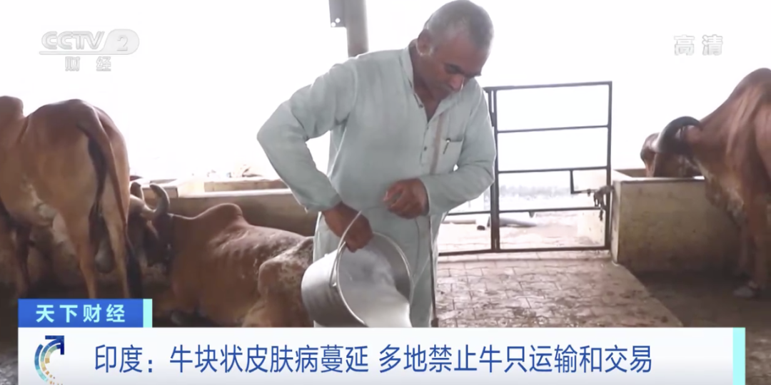 印度：禁止出口，禁止運(yùn)輸交易