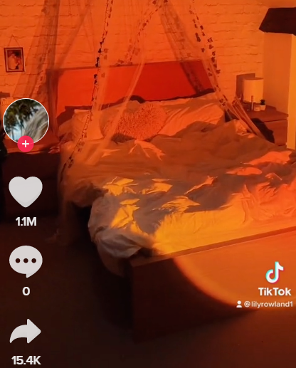 每個(gè)都近萬評論！TikTok風(fēng)靡全球的家裝爆款