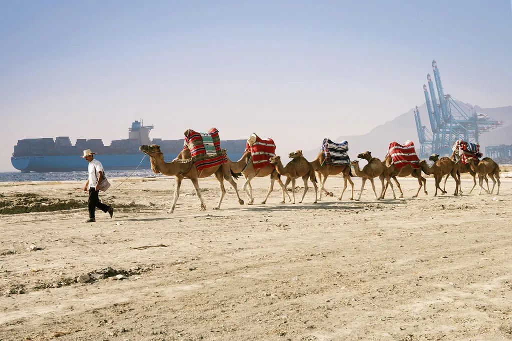 這10個(gè)碼頭，你要都見過算我輸 ！