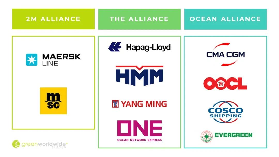 仍在大量買船！MSC想要和馬士基分道揚(yáng)鑣？