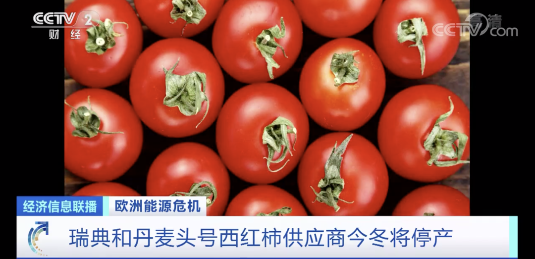 工廠(chǎng)面臨倒閉、關(guān)門(mén)、停產(chǎn)......