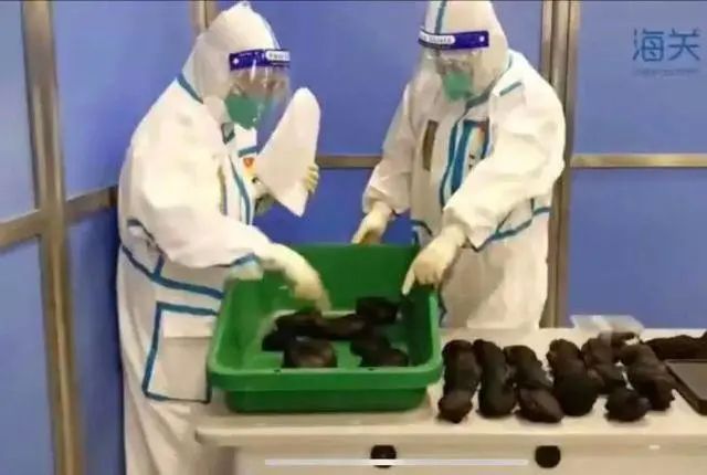 可怕！出貨的集裝箱運(yùn)了一具女尸，從美國(guó)到中國(guó)......