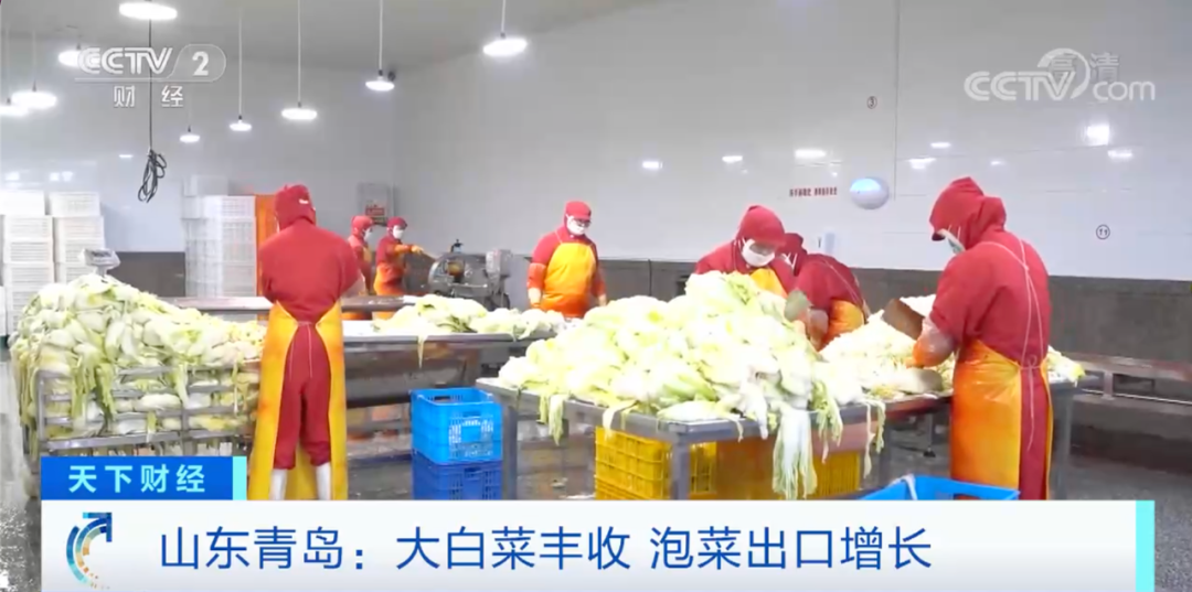 這個(gè)產(chǎn)品在韓國(guó)賣爆了！或?qū)⒄柬n國(guó)年需求量一半！