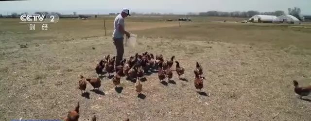 突發(fā)！90天，這國進入緊急狀態(tài)！