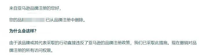 賣家炸鍋！大批中國(guó)品牌被亞馬遜移除？