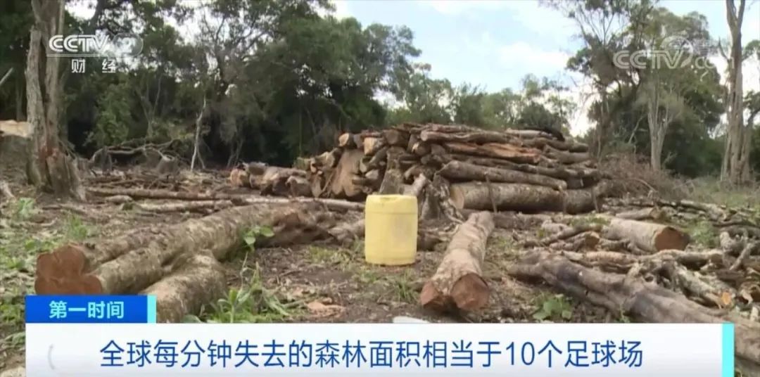 這些商品，擬禁止進出口！歐盟達成臨時協(xié)議