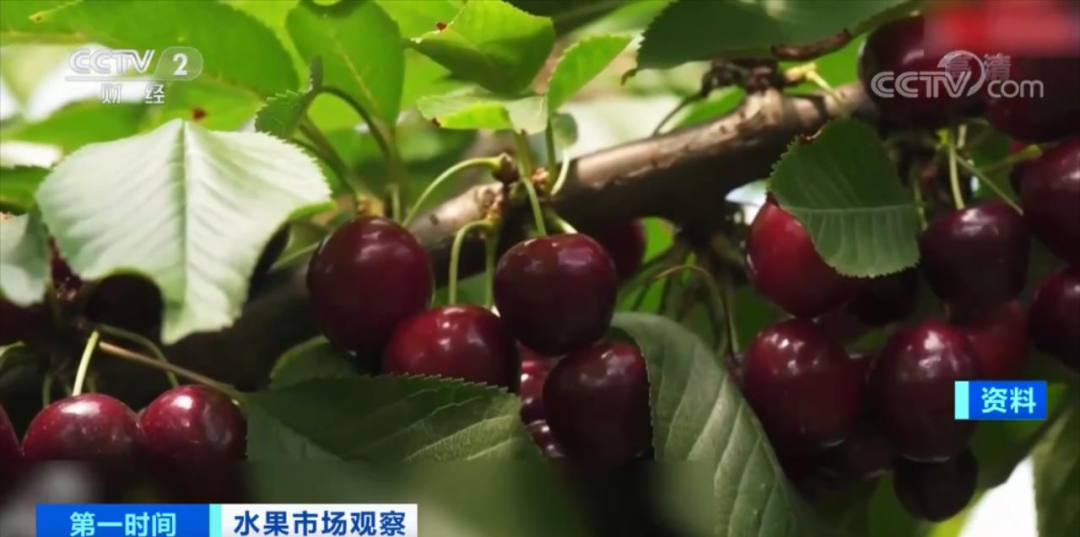 碼頭全是貨！再過(guò)十天，這個(gè)產(chǎn)品將大降價(jià)？