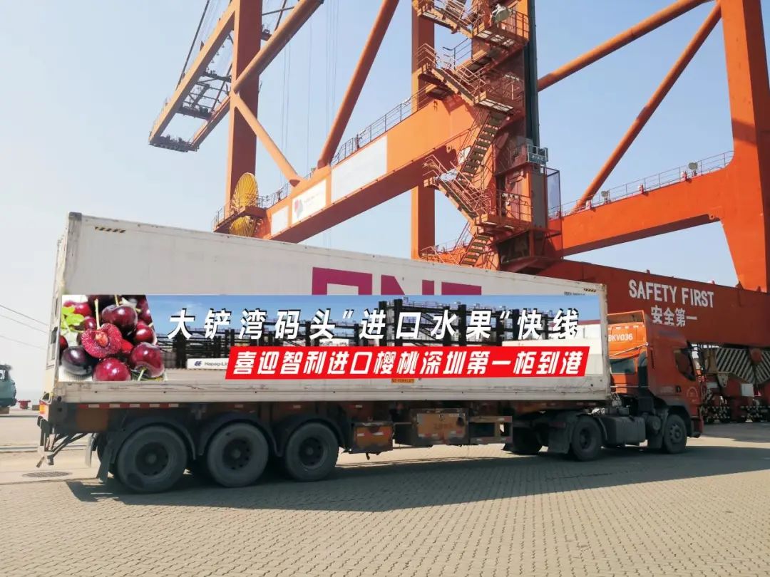 37000TEU車?yán)遄?，都去了哪個港 ？