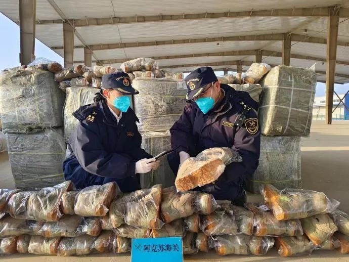 注意！海關嚴查侵權貨物出口！