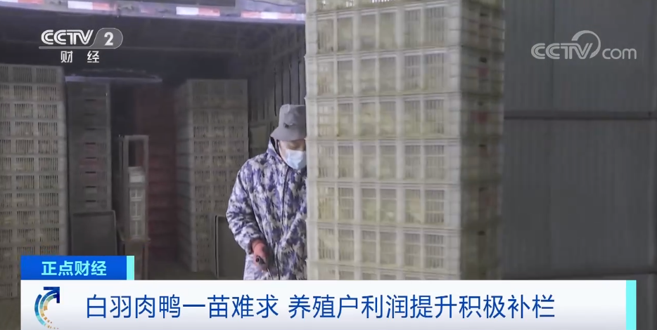 搶瘋了！漲價超300%，還得排一個月隊！