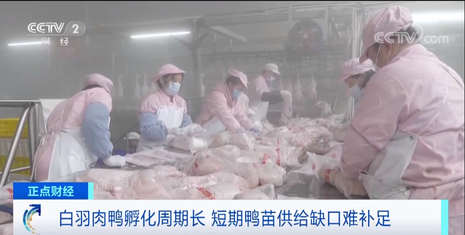 搶瘋了！漲價超300%，還得排一個月隊！