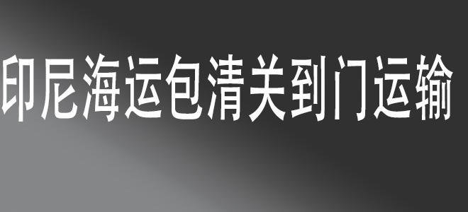  中國至印度尼西亞全鏈條物流服務(wù)：安全、高效、一站式解決方案
