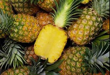 快訊！大陸暫停進(jìn)口臺(tái)灣菠蘿