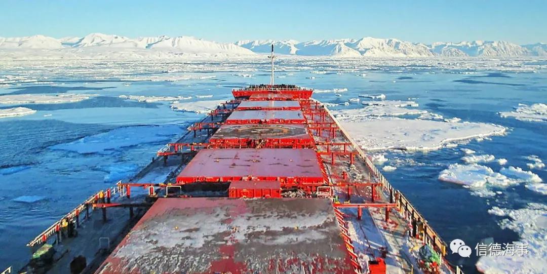 干散貨市場強勢回歸，航運股也全面上升