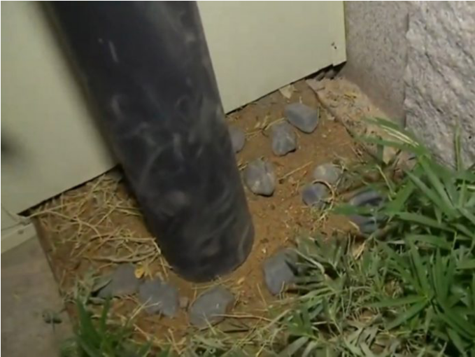 警示！一印尼船員隔離期“大逃亡”，被判8個月！