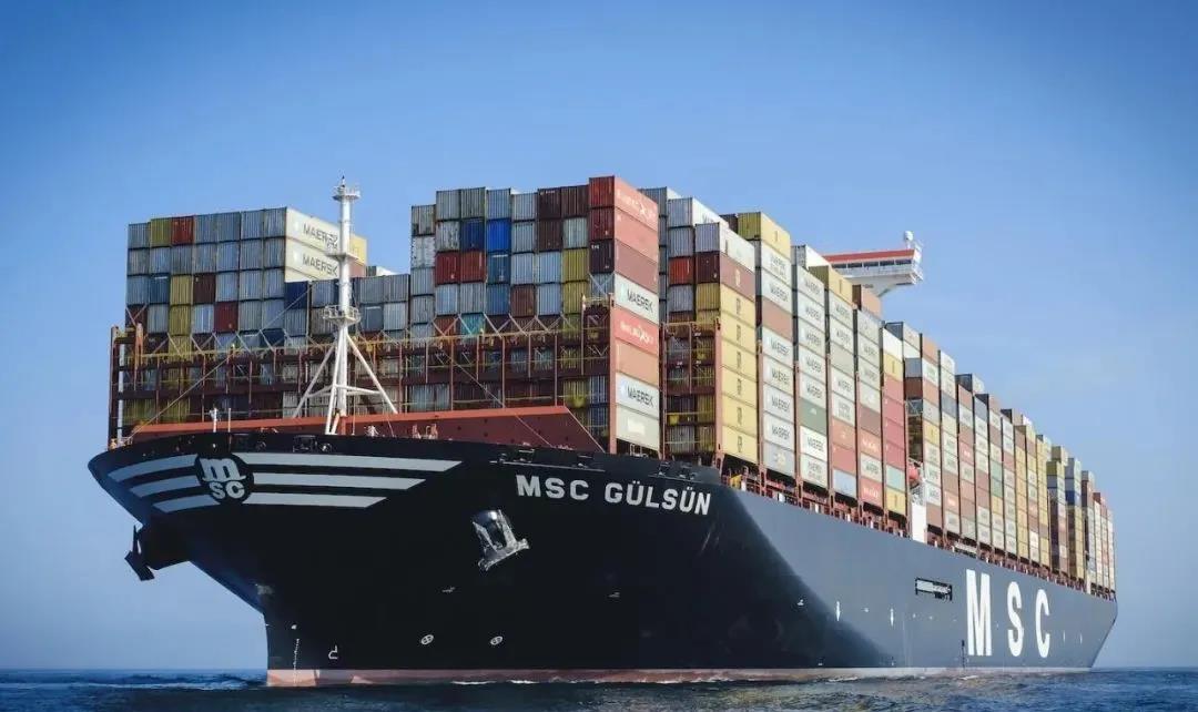 購入8艘船，MSC加快二手集裝箱船的收購