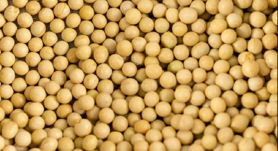 中國(guó)去年糧食進(jìn)口1.4億噸 成國(guó)際干散貨市場(chǎng)新亮點(diǎn)