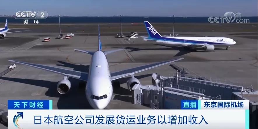 至暗！國內(nèi)三大航空公司巨虧300多億，日本最大航空公司將無薪放假兩年！