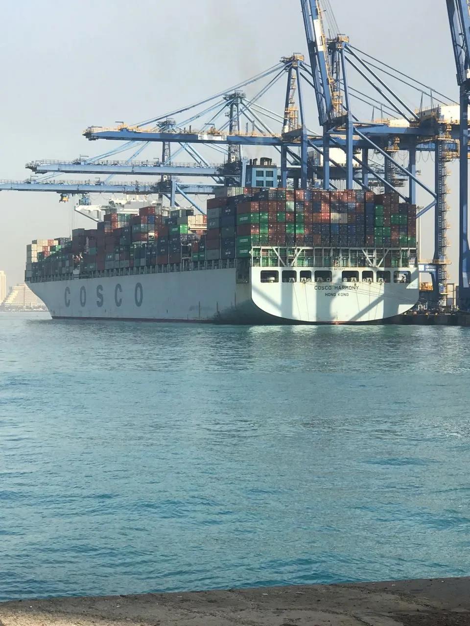 中遠海運港口收購沙特紅海門戶碼頭20%股份，加強紅海地區(qū)布局