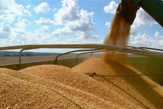 中國(guó)自美進(jìn)口農(nóng)產(chǎn)品大漲67%！豬肉增長(zhǎng)223.8%、大豆增長(zhǎng)56.3%……