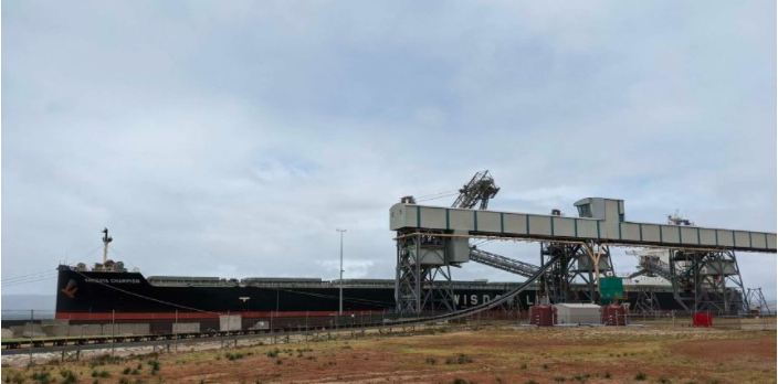 船舶靠港隔離期間, 船員竟跳下海游上岸! ...觸發(fā)全城警報(bào)！