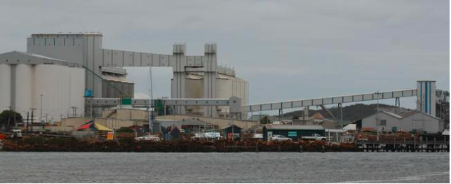 船舶靠港隔離期間, 船員竟跳下海游上岸! ...觸發(fā)全城警報(bào)！