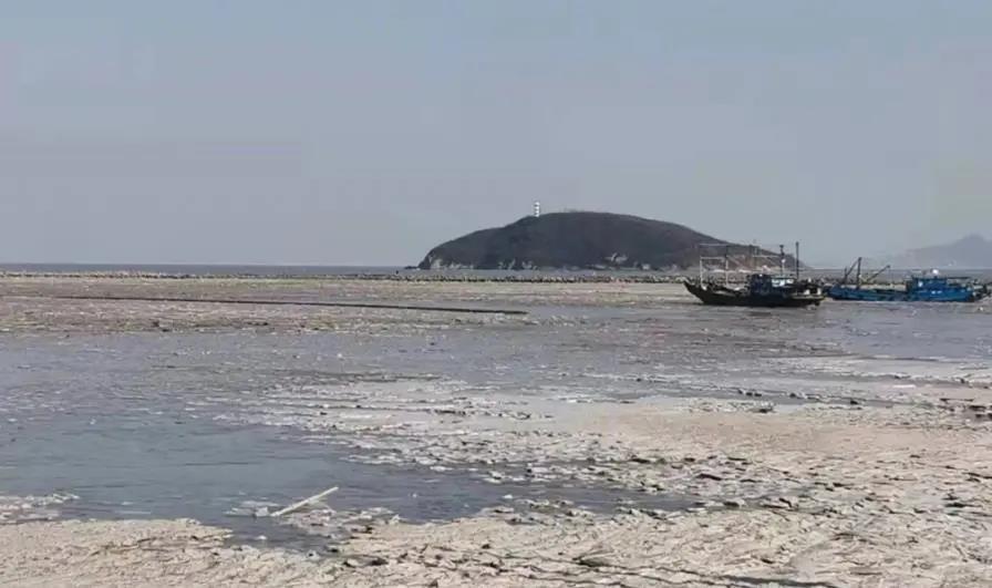 緊急預警！黃渤海將進入嚴重冰期!