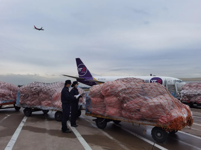 同比增長63.3%，跨境電商增長迅猛