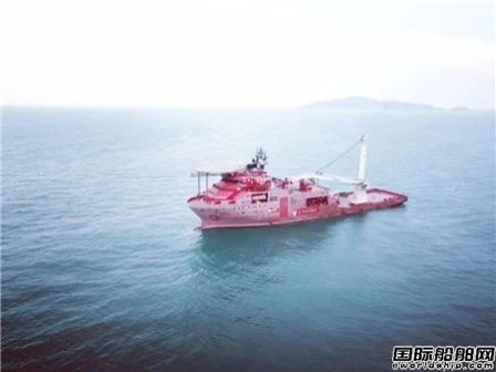 盤點2020年中國船廠建造最有特色的10艘船