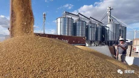 阿根廷碼頭罷工，162艘船裝運受影響！