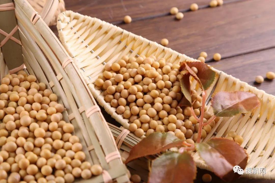 阿根廷碼頭罷工，162艘船裝運受影響！