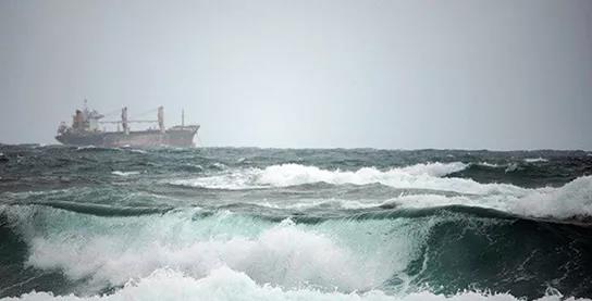 船舶經(jīng)紀(jì)公司：2021年干散貨市場(chǎng)不會(huì)發(fā)生大變化