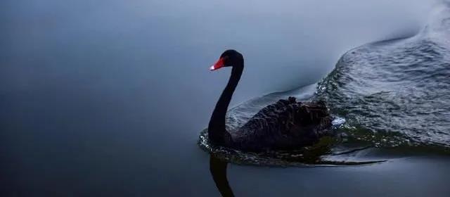 人民幣匯率升至6？渣打預(yù)測2021年8大市場“黑天鵝”！