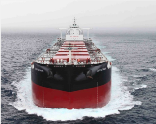 "都逃離干散貨市場? 好, 我殺入!" 一家年輕船東來了！