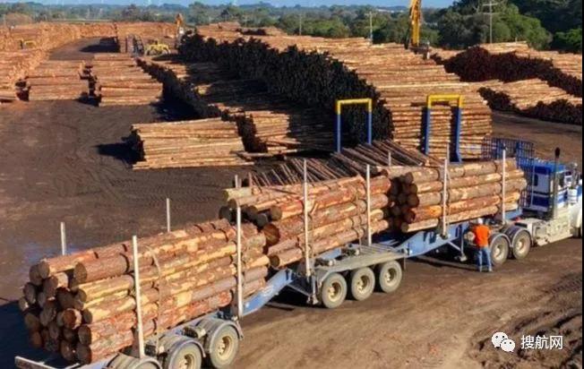 澳大利亞又有兩州被海關(guān)總署點(diǎn)名，暫停進(jìn)口！