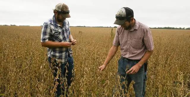 阿根廷100艘貨船禁運(yùn), 美國大豆船集體狂歡？