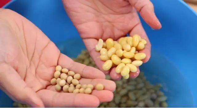 阿根廷100艘貨船禁運(yùn), 美國大豆船集體狂歡？