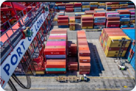 最新！美國(guó)目的港快速提還柜攻略！