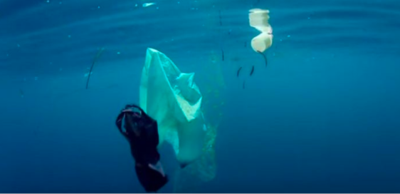 航運(yùn)組織：2021年底前，禁止一次性塑料