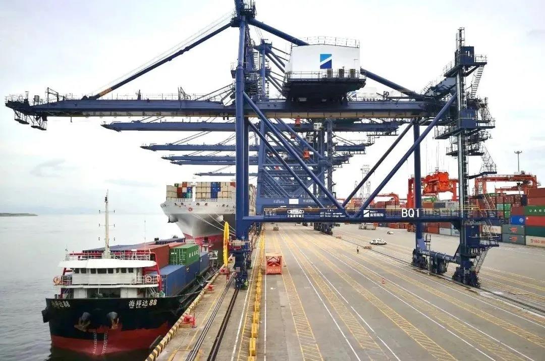 粵港航線面臨提前停航！6家行業(yè)組織緊急致函政府部門