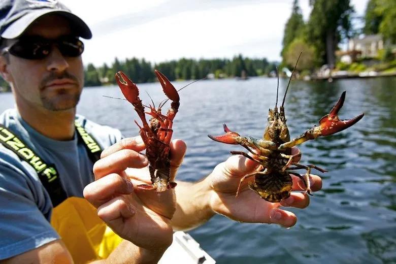 中澳貿(mào)易摩擦再升級(jí)！澳洲：要把中國(guó)告上WTO！中國(guó)：限制澳多個(gè)產(chǎn)業(yè)的進(jìn)口！