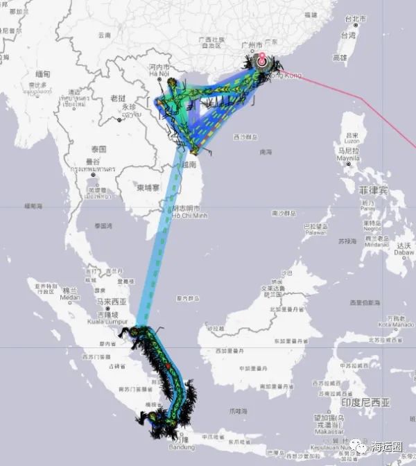 “鬼船”？越南海域發(fā)現(xiàn)一遺棄集裝箱船，船體斷裂，船員生死存疑……